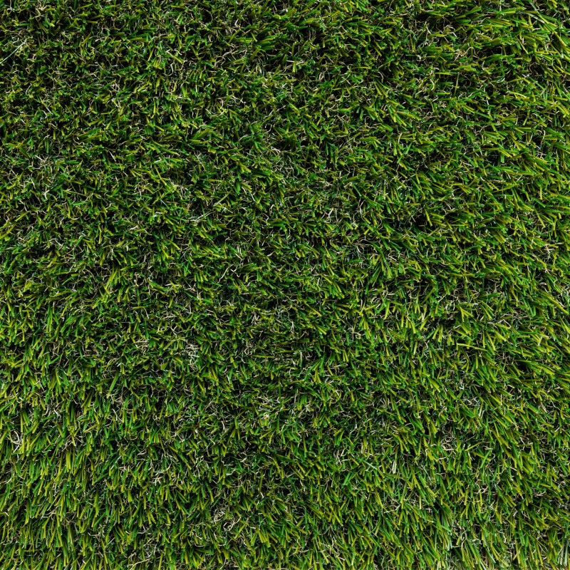 oasis_30_5.jpg