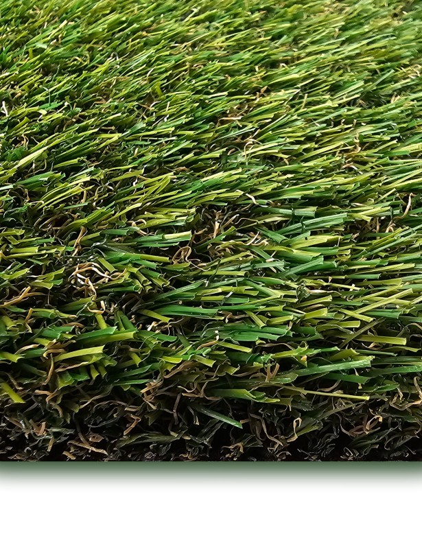 oasis_30_6.jpg
