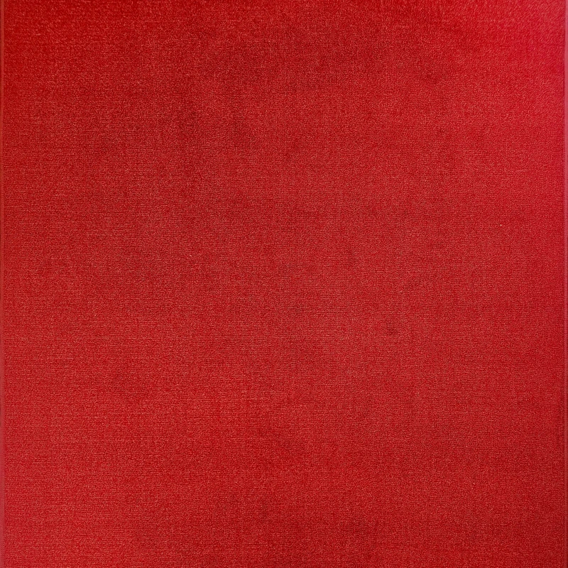PROTOCOL_31_02.webp