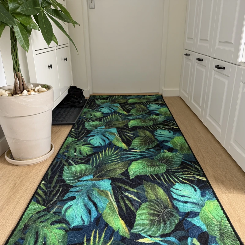 GREEN_MONSTERA_03_01.webp