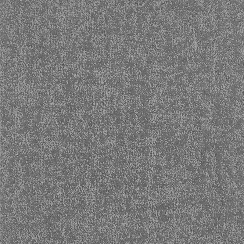 SPECTRA_19_01.jpg