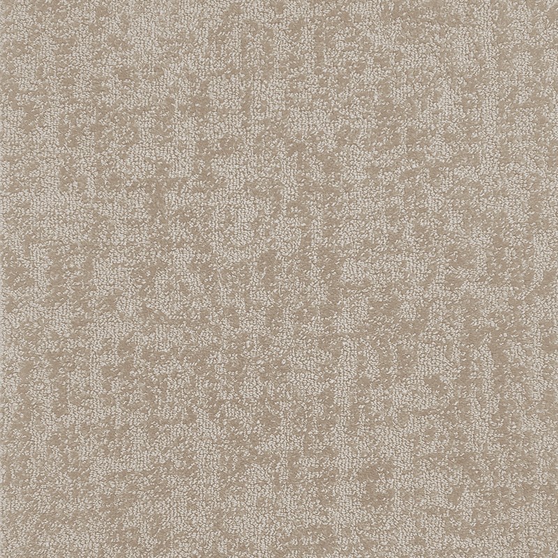 SPECTRA_03_01.jpg
