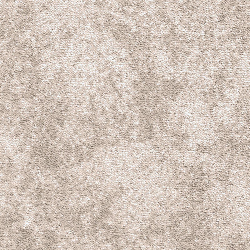 DREAM_05_01.jpg