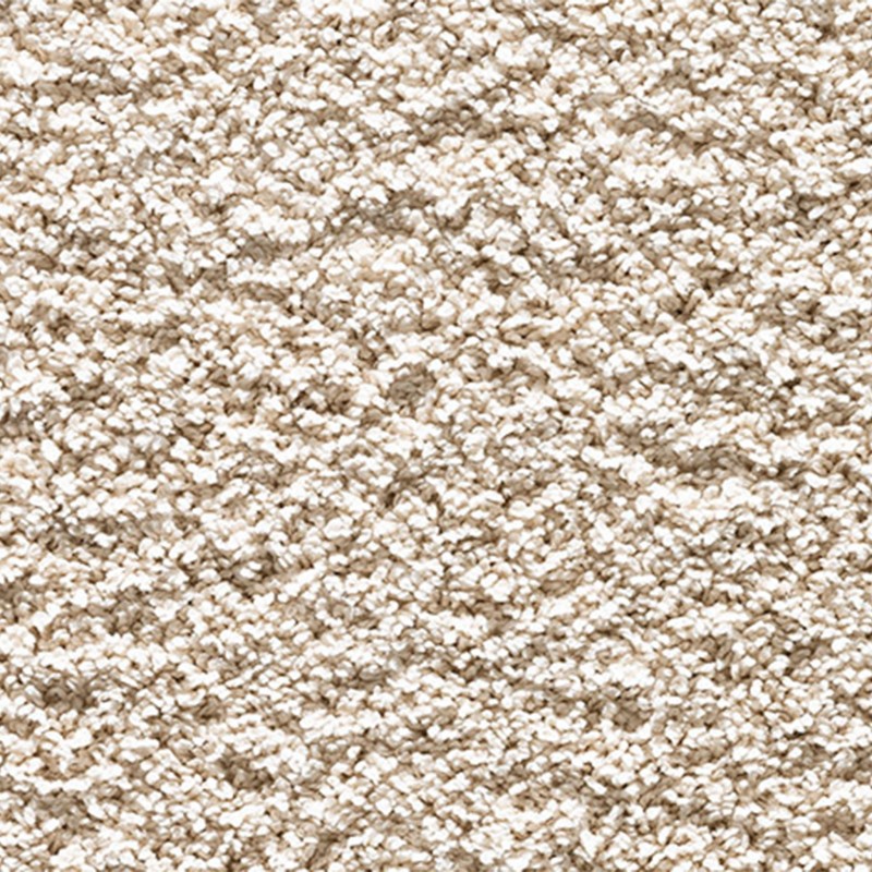 BICHON_03_01.jpg